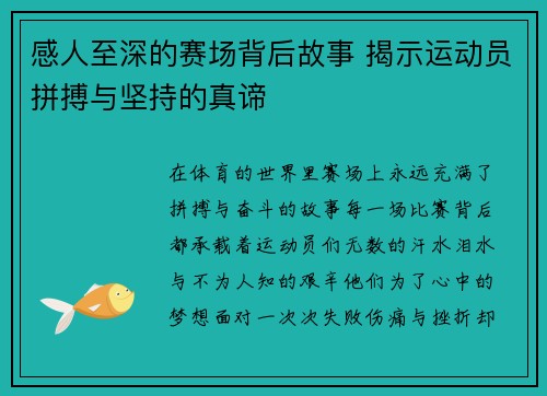 感人至深的赛场背后故事 揭示运动员拼搏与坚持的真谛